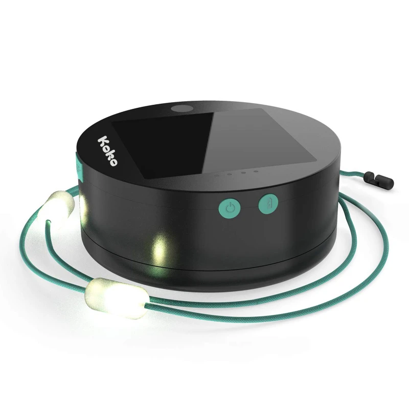 solar string lights and powerbank