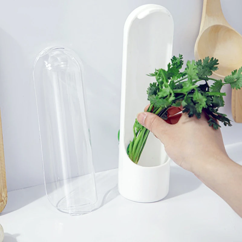 herb storage containers for refrigerator