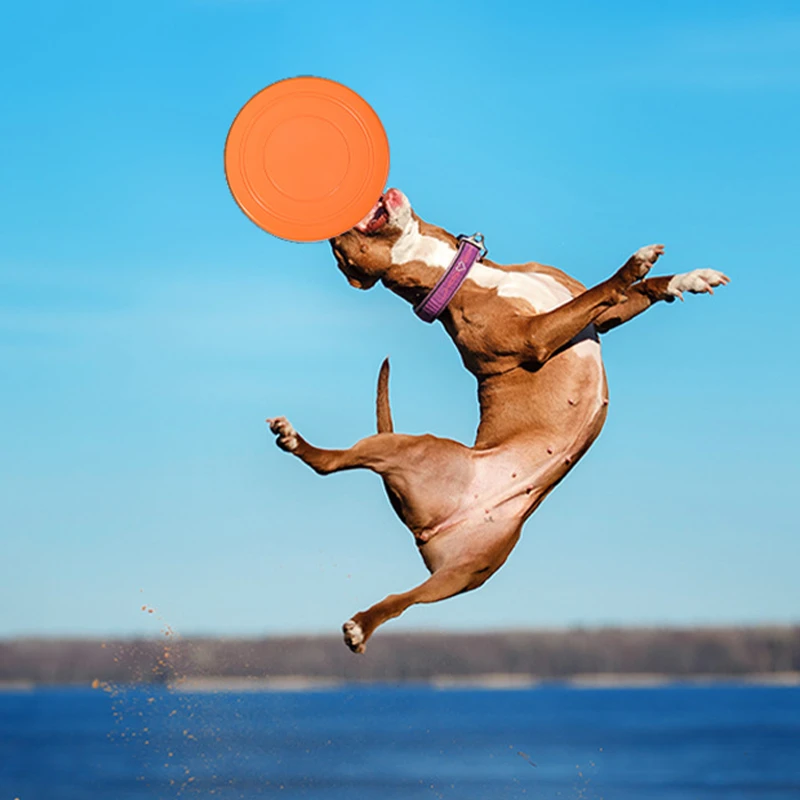 durable soft tpr dog flying disc
