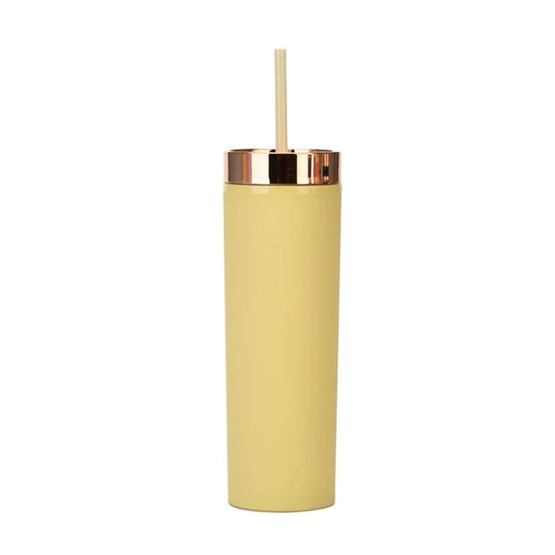 16oz double wall plastic tumbler with straw