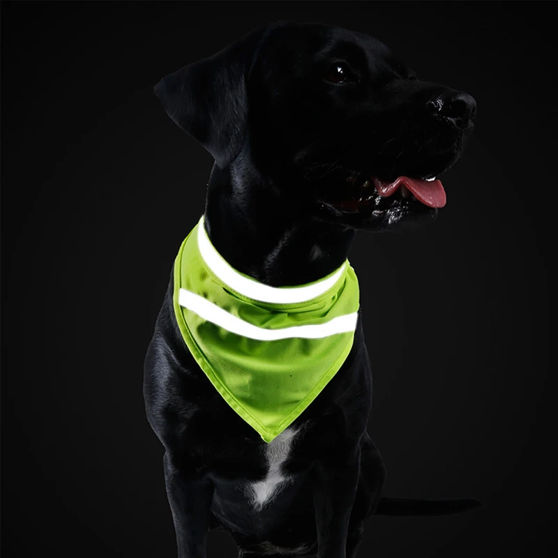 reflective pet bandanna