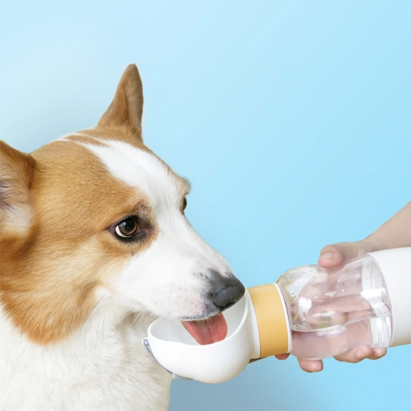 outdoor portable pet water bottle with food container